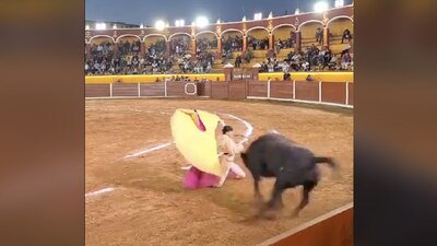 José Alberto Ortega fue impactado por el toro