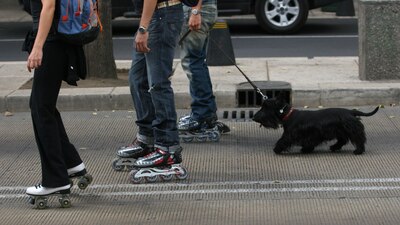 Los vecinos han denunciado que durante años han padecido este problema
