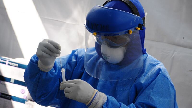 Científicos de Wuhan, China, encuentran en murciélagos un virus similar al COVID-19