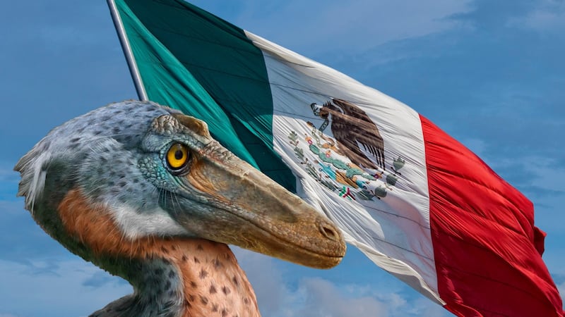 ¡Un carnívoro mexicano! Hallan huesos antiguos en Coahuila