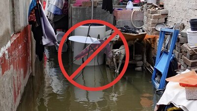 Por ahora, autoridades descartan la posibilidad de que haya mosquito de dengue