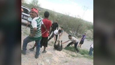 Pobladores amarraron y asfixiaron al oso de apenas cinco meses de edad.