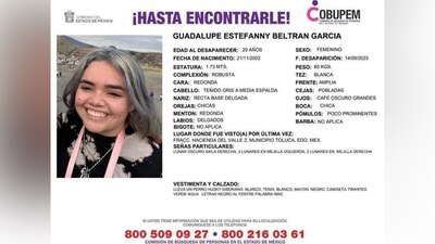 Fue vista por última vez en el Fraccionamiento Hacienda del Valle 2, en Toluca