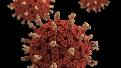 Las mutaciones de los virus no son inusuales