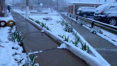 En Chihuahua cubrió las calles con una película de nieve