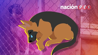 Los casos han encendido las redes y han conmocionado al país