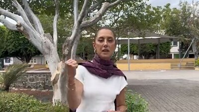 Aseguró que "son importantísimos para la economía de México"