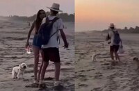 Exhiben a turista extranjera agrediendo a perrito y a un hombre en playas de Oaxaca