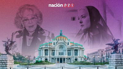 Se realizará en Bellas Artes el próximo sábado 30 de noviembre desde las 11 horas