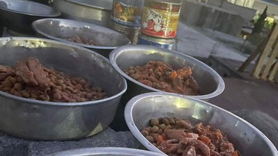 Un ciudadano llevó dos costales, uno para perros y otro para gatos