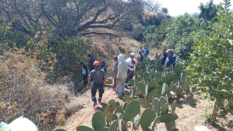 Autobús de pasajeros cae a un barranco en Morelos y deja 8 personas sin vida