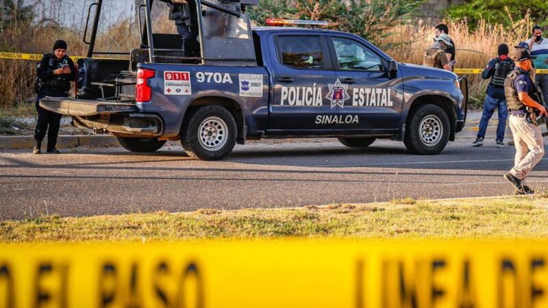 Hallan 6 cuerpos en la sierra de Culiacán; habrían sido víctimas de un enfrentamiento