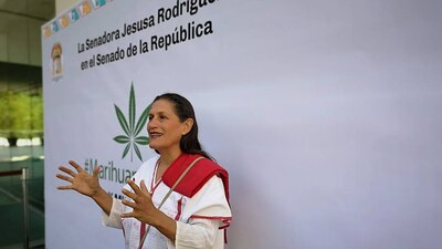 En el senado de la República se realiza un encuentro para hablar de la marihuana