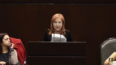 Rosario Piedra es hija de la activista y política María Rosario Ibarra de Piedra. Es integrante del Comité Eureka, fundado por su madre