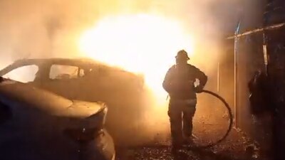 Bomberos ingresaron al predio para sofocar las llamas