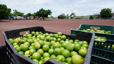 En la región de Tierra Caliente, 600 soldados llegaron para combatir a células delictivas