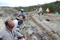'Falso de que se haya encontrado fósil y cuevas bajo Tren Maya': García Vilchis