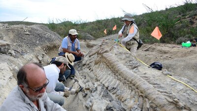 Durante la construcción del Tren Maya, se han encontrado varios vestigios