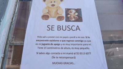 Fue extraviado por Emi, al salir a pasear con su papá