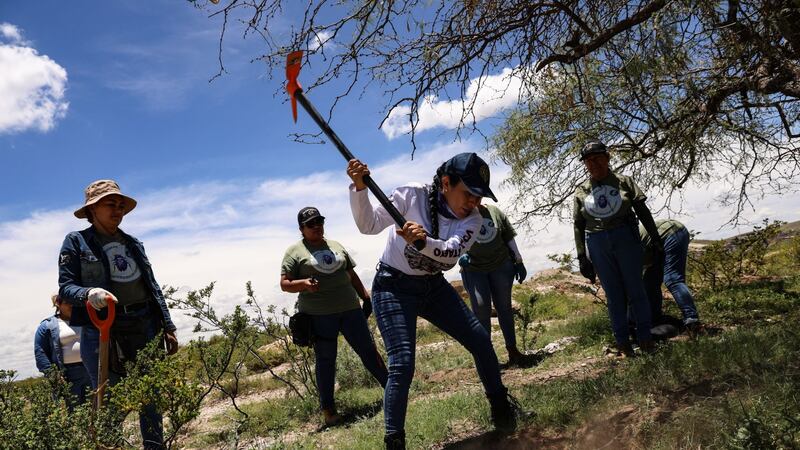 Guerreros Buscadores hallan nueva fosa clandestina en Zapopan y exigen apoyo a Sheinbaum