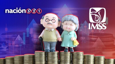 La actualización de la Ley 73 podría afectar a los adultos mayores que se pensionaron bajo este régimen