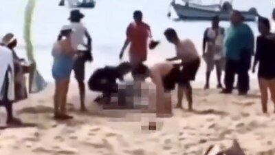 La mujer presuntamente nadó para defender a su hijo, pero fue mordida