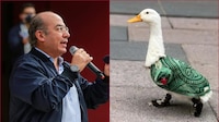 Calderón llama a la FIFA a dar apoyo económico a la familia del pato ‘Merlín’ por usar su imagen