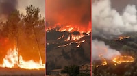¿Por qué arde Europa? Esto hay que saber sobre los incendios históricos en Francia y España