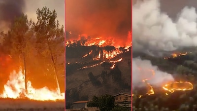 ¿Por qué arde Europa?: Esto hay que saber sobre los incendios históricos en Francia y España