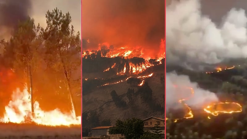 ¿Por qué arde Europa? Esto hay que saber sobre los incendios históricos en Francia y España