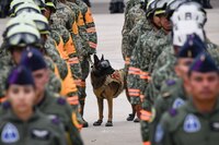 Agrupación ‘Yumare’ recuperó 92 cuerpos, rescató con vida a 2 personas y a 2 perros en Venezuela