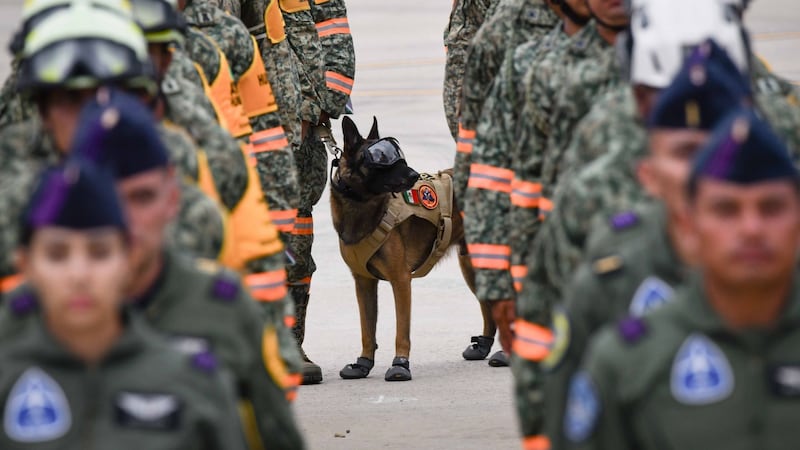 Agrupación ‘Yumare’ recuperó 92 cuerpos, rescató con vida a 2 personas y a 2 perros en Venezuela