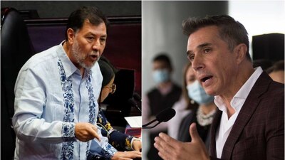 Mayer aseguró que la iniciativa afectaría las precampañas, campañas y elecciones