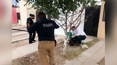 Autoridades municipales llegaron al lugar a detener al presunto atacante del perrito