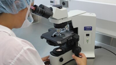 Esta familia de virus es capaz de evadir la activación temprana de la repuesta inmune