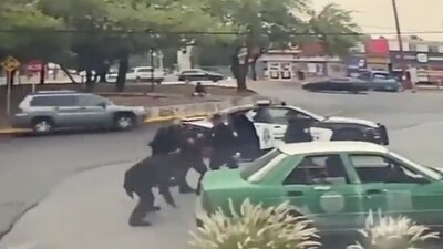 La Secretaría de Seguridad local informó que habrá cero tolerancia por en el caso.