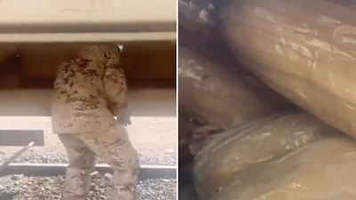 Con el apoyo de un binomio canino, los elementos de seguridad inspeccionaron los vagones