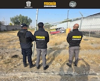 Edomex: Aseguran más de 1 millón de pesos en alimento para mascotas y una caja de tráiler