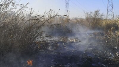 En el terreno fueron hallados documentos de identidad, ropa y teléfonos