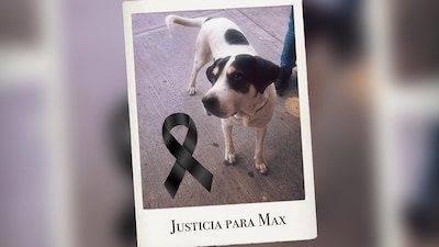 El juez declaró inconsistencias en los horarios