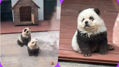 Turistas se indignaron al sentirse estafados