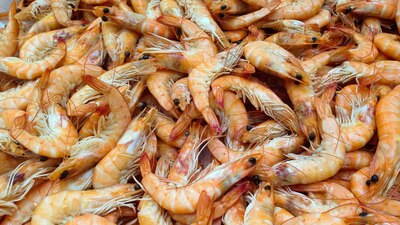 Autoridades chinas detectaron rastros de COVID-19 en algunas importaciones de camarón