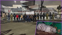 Detienen a 20 presuntos integrantes del CJNG con armas, drogas, animales salvajes y más