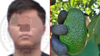 ¿Quién es ‘El Vikingo’, presunto extorsionador de aguacateros, detenido en Uruapan?