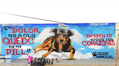 Un artista pintó al 'lomito' para exigir justicia por el caso