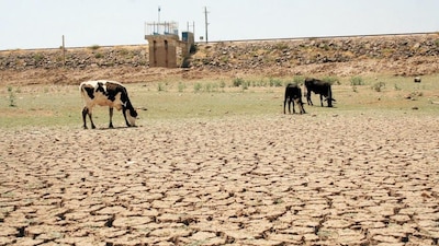 De acuerdo con los reportes de la Conagua, hay otras presas al 50%