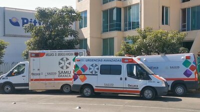La mordedura a los menores les contagió rabia de la variante V3