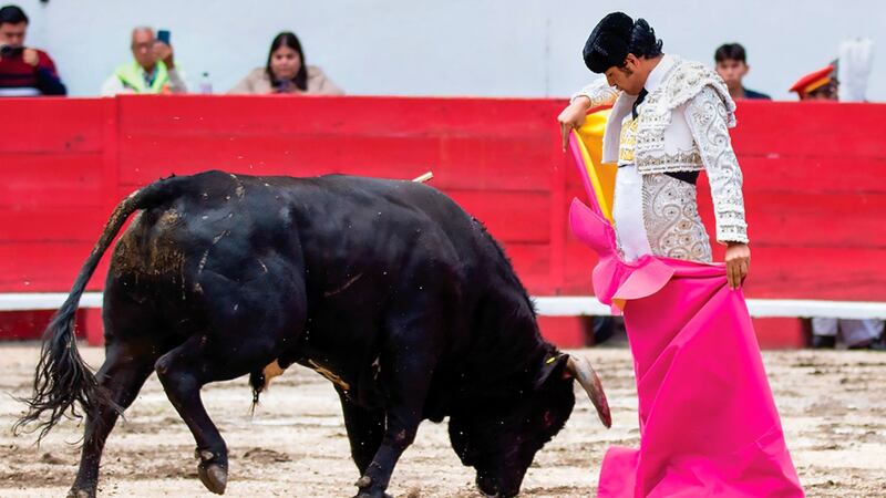 Plaza México se rinde ante nueva ley: “espectáculo taurino sin violencia” no es posible