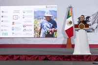 Sheinbaum presume avances de la 4T tras siete años: reducción de pobreza, más empleo y baja en homicidios