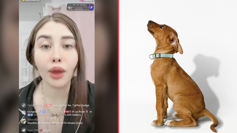 Funcionaria de Guadalajara confiesa sacrificar un perro en ritual de santería